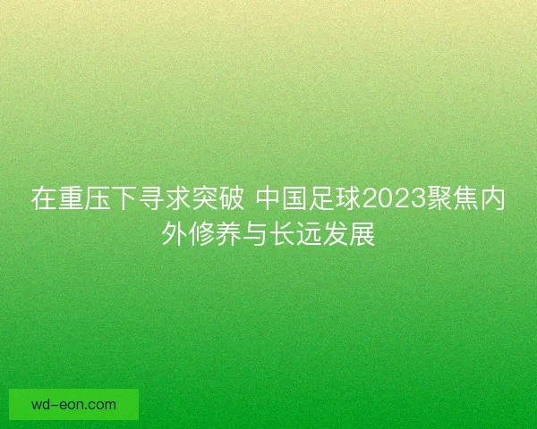 在重压下寻求突破 中国足球2023聚焦内外修养与长远发展